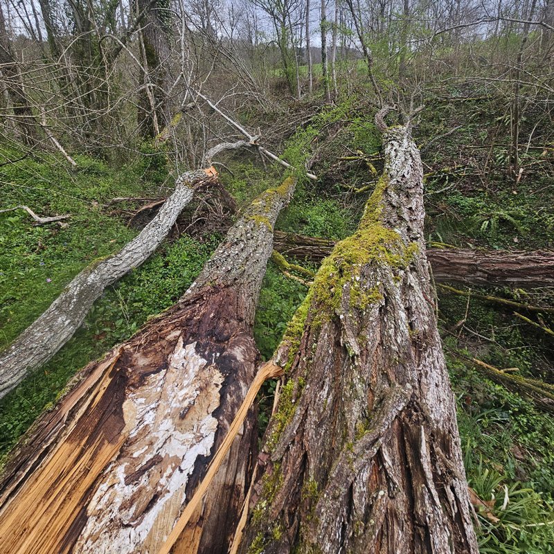 173-espacesverts09-debardage-bois-dangereux-saint-girons