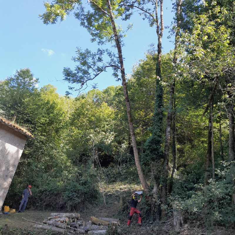 abattage arbre Ariège 09